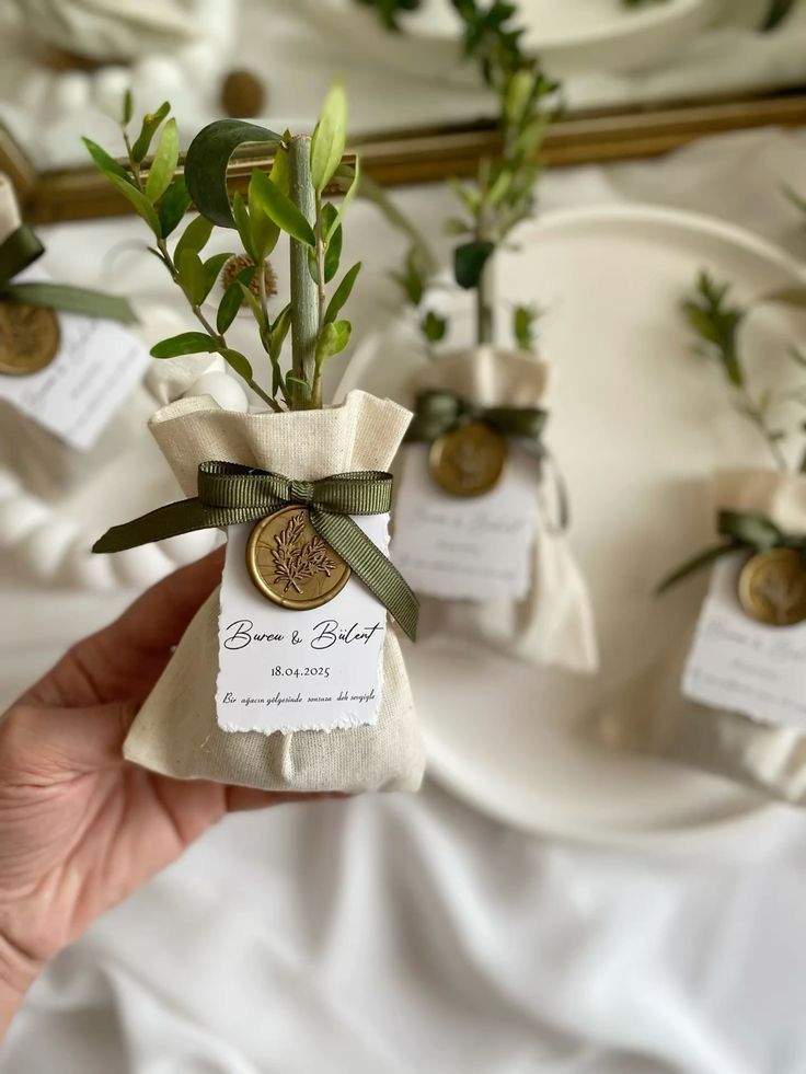 Olive branch plant wedding favor wrapped in linen with wax seal